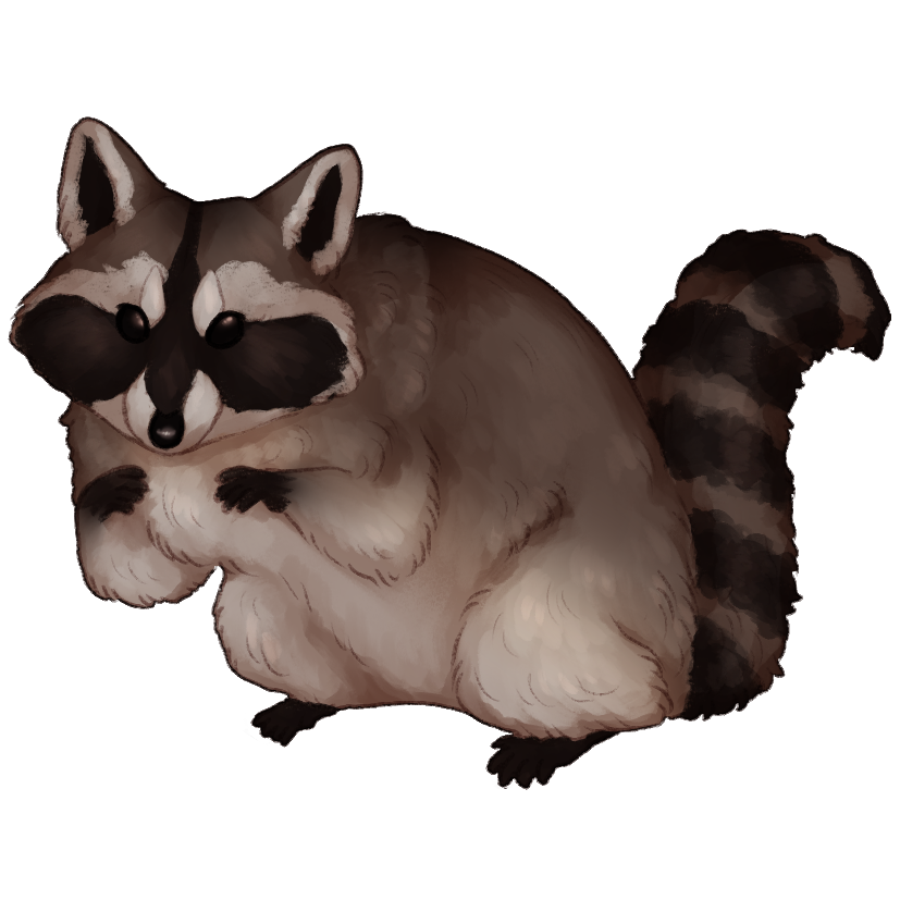 companion-raccoon-2-0_orig.png